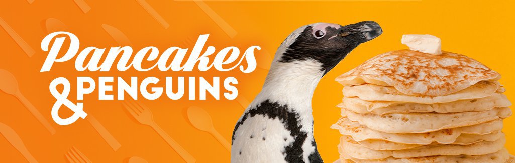 Ripley's Aquarium: Pancakes & Penguins